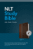 Nlt Study Bible, Tutone (Leatherlike, Brown/Slate, Indexed, Red Letter)