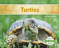 Turtles