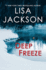 Deep Freeze (Zebra Romantic Suspense)