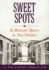 Sweet Spots-in-Between Spaces in New Orleans