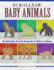 Scroll Saw Baby Animals: 50 Adorable Puzzle Projects to Make in Wood (Fox Chapel Publishing) Step-By-Step Sloth, Plus Panda, Lion, & Bear Cubs, Puppies, Kittens, & More; How to Simplify for Safe Toys