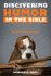 Discovering Humor in the Bible: an Explorer's Guide
