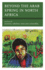 Beyond the Arab Spring in North Africa