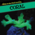 Coral (Glow-in-the-Dark Animals)