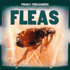 Fleas (Freaky Freeloaders: Bugs That Feed on People)