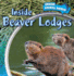 Inside Beaver Lodges (Inside Animal Homes, 3)