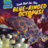 Look Out for the Blue-Ringed Octopus! (Surprisingly Scary! )
