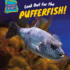 Look Out for the Pufferfish! (Surprisingly Scary! )