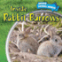 Inside Rabbit Burrows (Inside Animal Homes, 6)