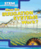 How Do Irrigation Systems Work? (Stem Waterworks)