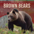 Brown Bears (Bears of the World)