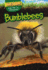 Bumblebees (Dig Deep! Bugs That Live Underground)