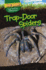 Trapdoor Spiders (Dig Deep! Bugs That Live Underground)