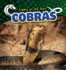 Cobras