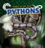 Pythons