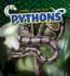 Pythons (Snakes on the Hunt)