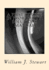 A First Course in Probability: Solutions Manual