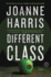 Different Class: a Novel