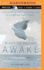 Dreaming Yourself Awake