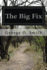 The Big Fix