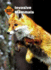Invasive Mammals (Invasive Species)