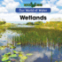 Wetlands (Our World of Water)