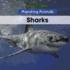 Sharks