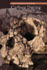 Carbon Dating (Great Discoveries in Science)