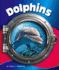 Dolphins (in the Deep Blue Sea)