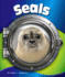 Seals (in the Deep Blue Sea)