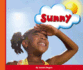 Sunny (Eye on the Sky)