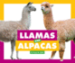 Llamas and Alpacas (Comparing Animal Differences)