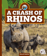 A Crash of Rhinos