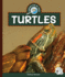 Turtles