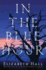 In the Blue Hour: a Novel