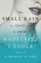 The Small Rain: a Novel (Katherine Forrester Vigneras)
