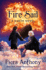 Fire Sail (the Xanth Novels)