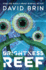 Brightness Reef