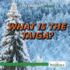 What is the Taiga? (Let's Find Out! Biomes)