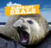 Elephant Seals (Ocean Friends)