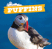 Puffins (Ocean Friends)