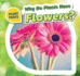 Why Do Plants Have Flowers? (Plant Parts)