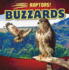 Buzzards (Raptors! )