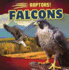 Falcons