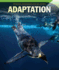 Adaptation (Spotlight on Ecology and Life Science)