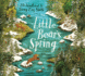 Little Bears Spring