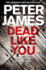 Dead Like You (Detective Superintendent Roy Grace, 6)