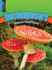 Decomposers (Nature's Food Chains)