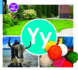 Yy