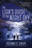 The Liar's Guide to the Night Sky: a Novel